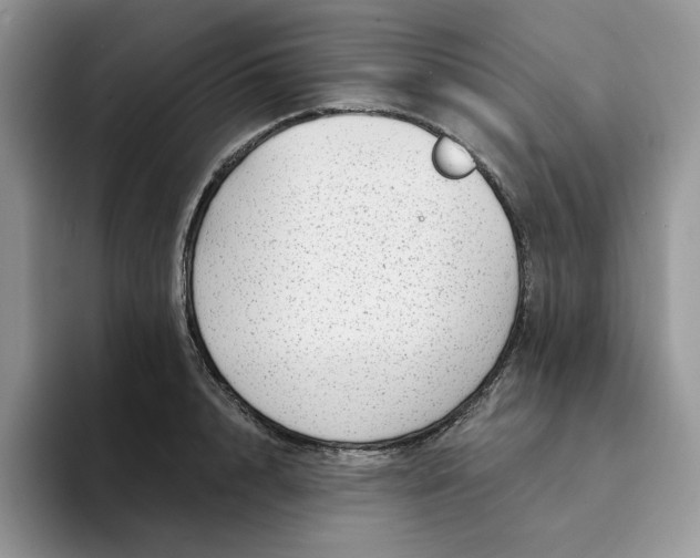 X0000094190848200711091159