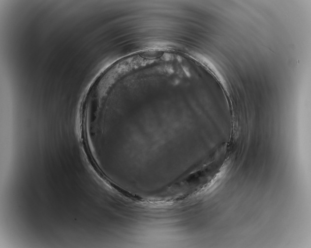 X0000094190851200711091200