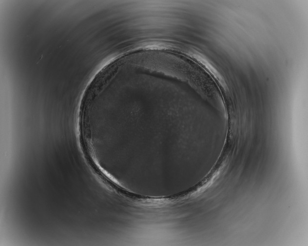 X0000094190853200711091200