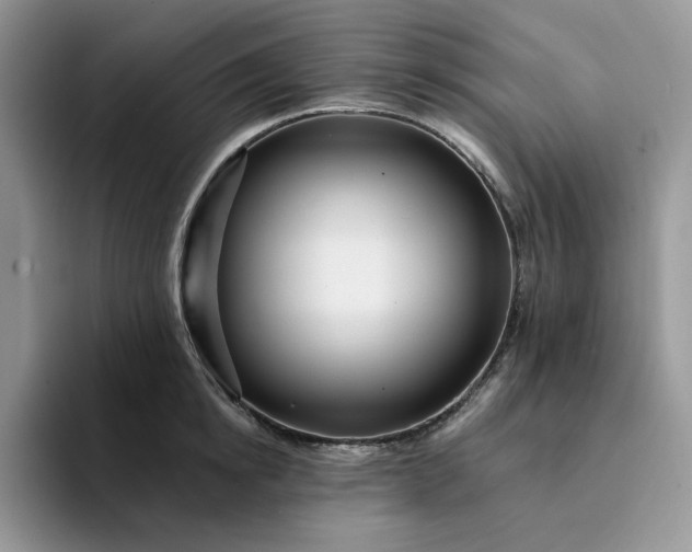 X0000094190854200711091200