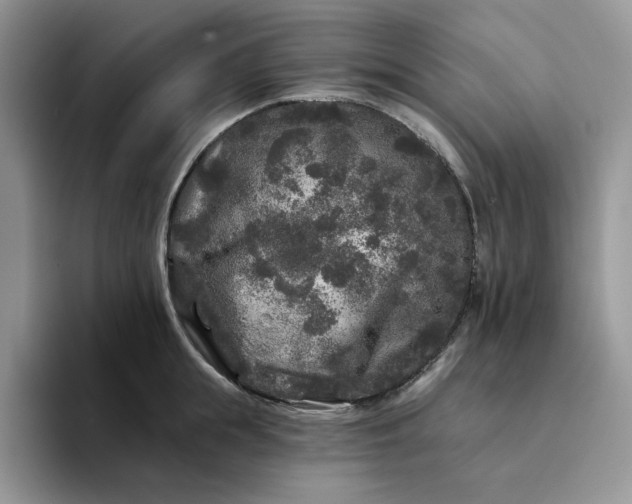 X0000094190855200711091200