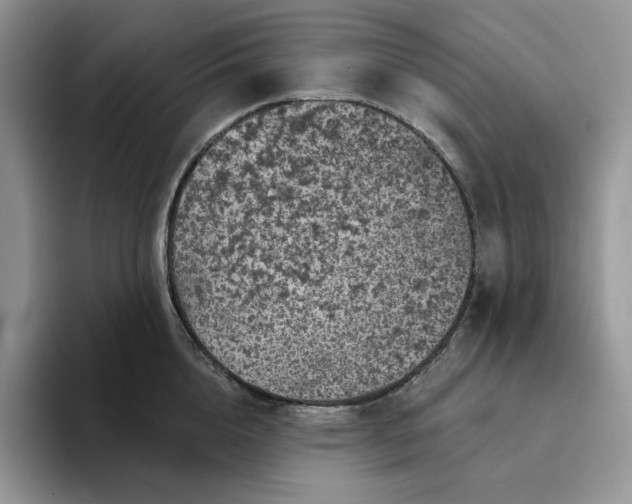 X0000094190856200711091200