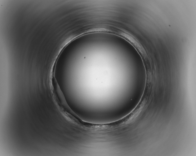 X0000094190858200711091200