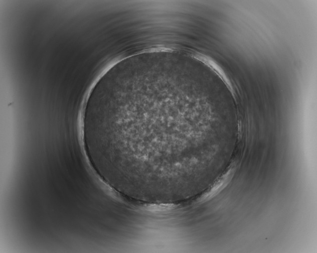 X0000094190859200711091200