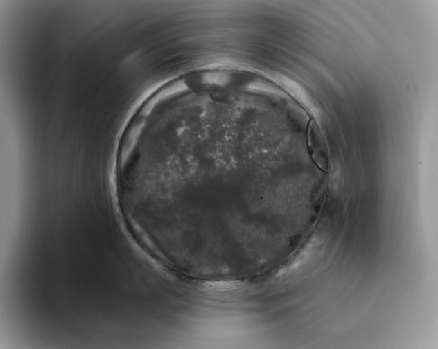 X0000094190863200711091200