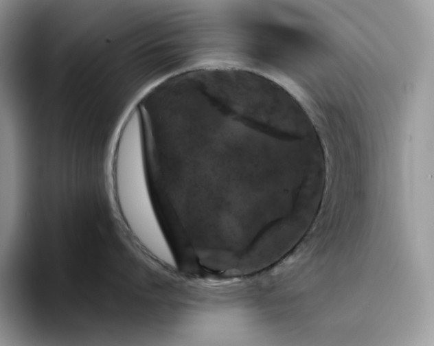 X0000094190864200711091200