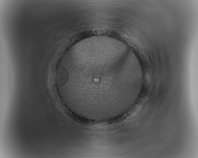 X0000094190865200711091159