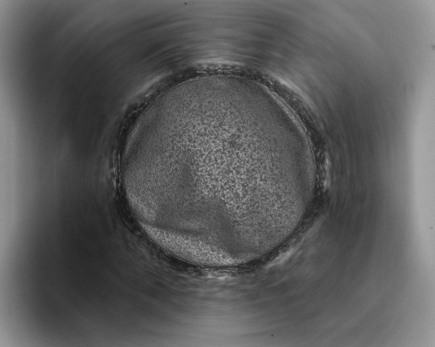 X0000094190870200711091159