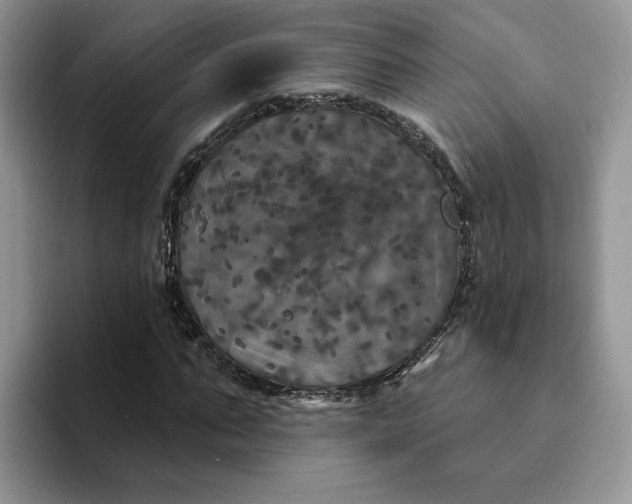 X0000094190871200711091159