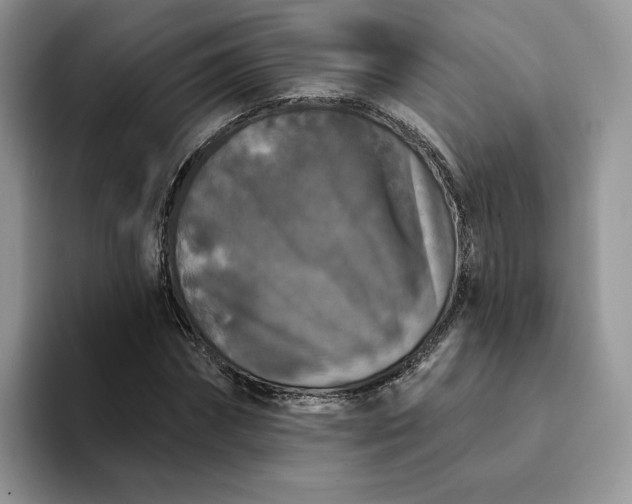 X0000094190874200711091159