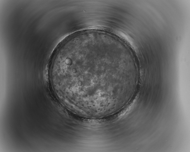 X0000094190875200711091159