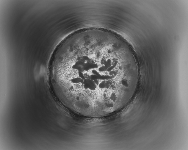 X0000094190879200711091159