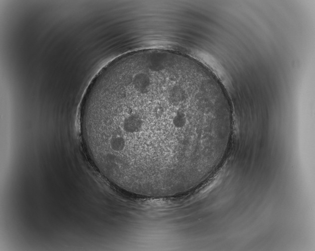 X0000094190883200711091159