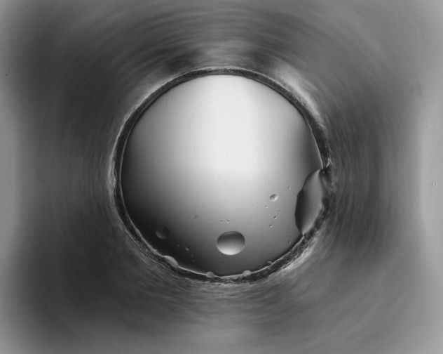 X0000094190885200711091159