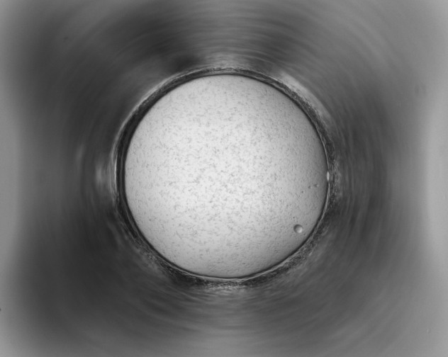 X0000094190886200711091159