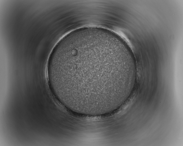 X0000094190887200711091159