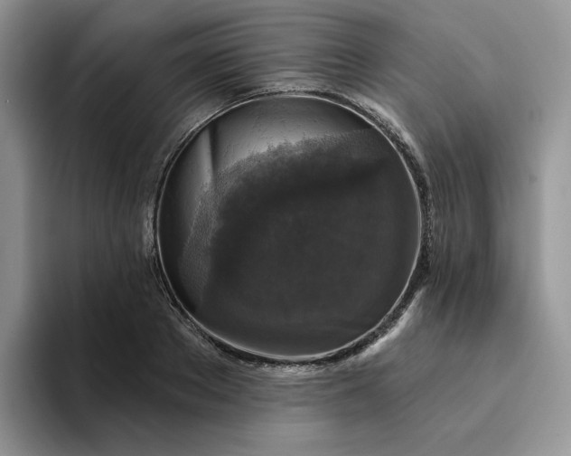 X0000094190889200711091159