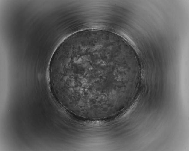 X0000094190891200711091159