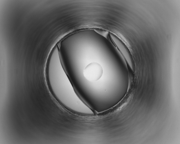 X0000094190893200711091159