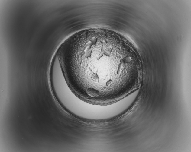 X0000094190895200711091159