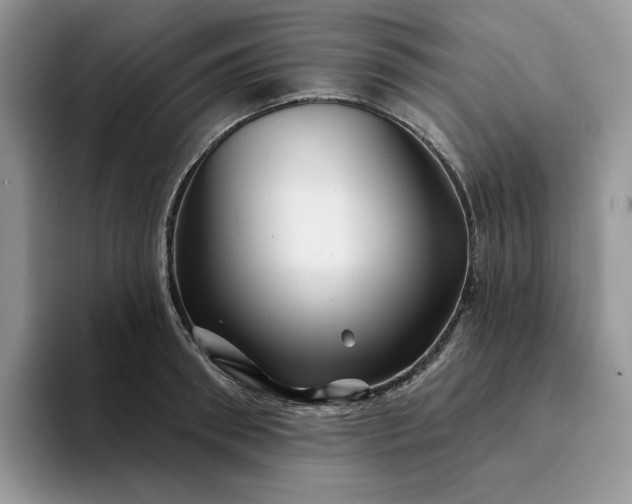 X0000094190898200711091159