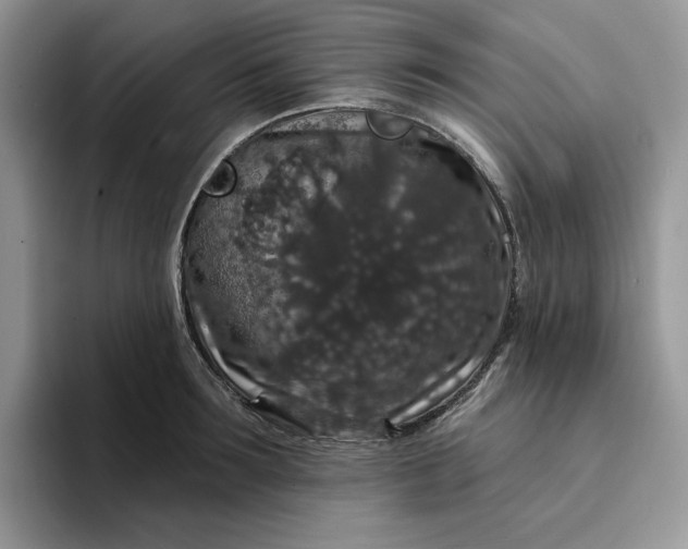 X0000094190899200711091159