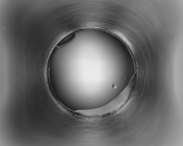 X0000094190901200711091159