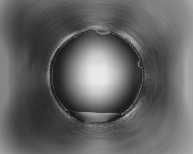 X0000094190902200711091159