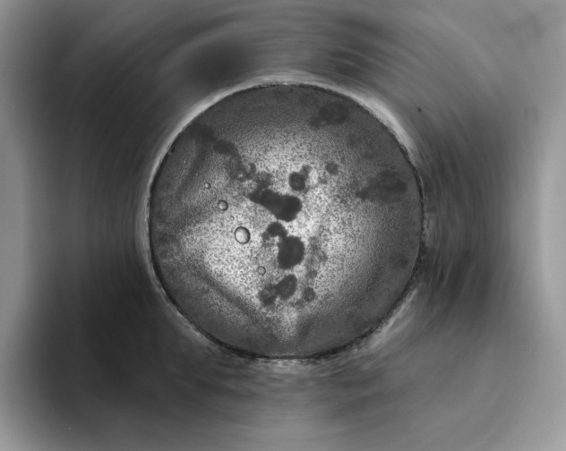 X0000094190903200711091159