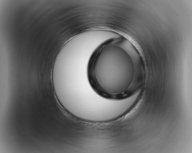 X0000094190905200711091159