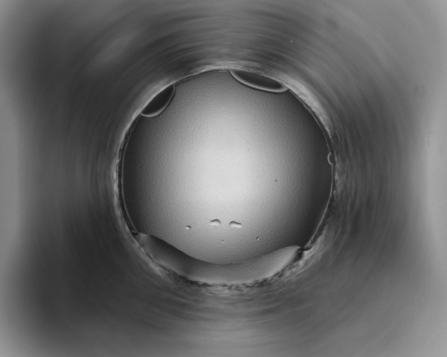 X0000094190906200711091159