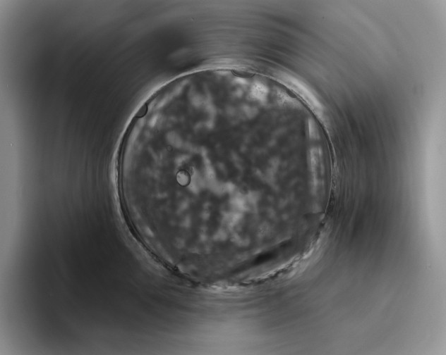 X0000094190907200711091159