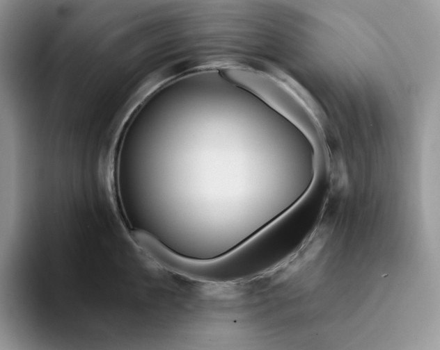 X0000094190909200711091159