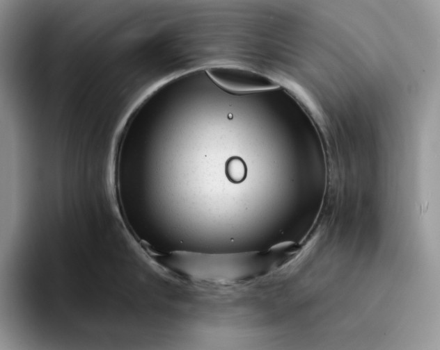 X0000094190910200711091159