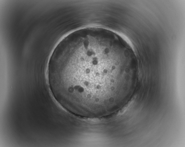 X0000094190911200711091159