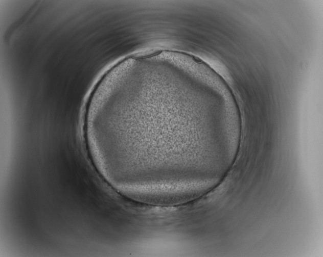 X0000094190912200711091159