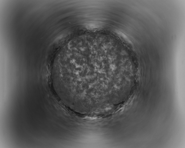 X0000094190917200711091158