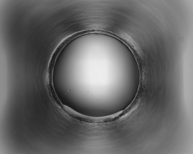 X0000094190924200711091158