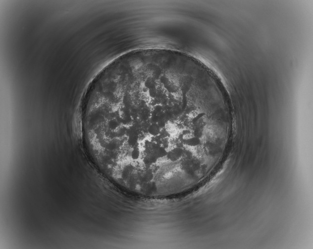 X0000094190925200711091158