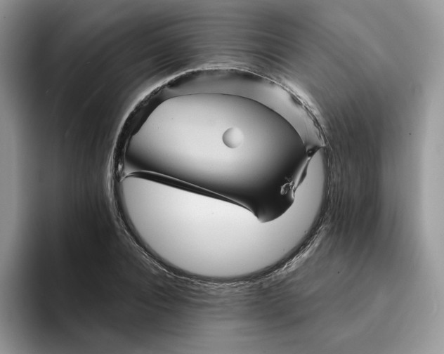 X0000094190928200711091158