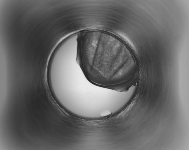 X0000094190932200711091158