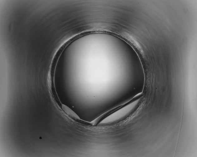 X0000094190936200711091158