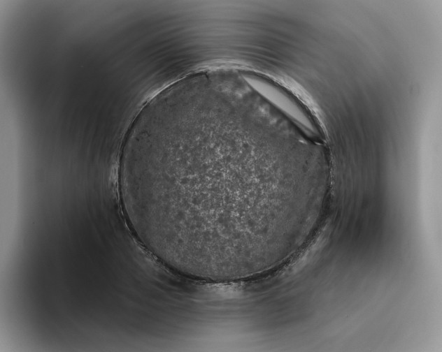 X0000094190937200711091158