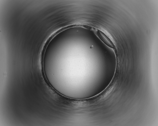 X0000094190939200711091158