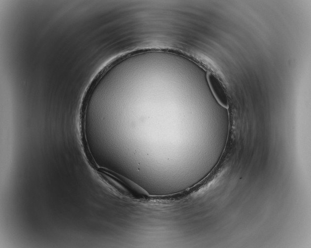 X0000094190942200711091158