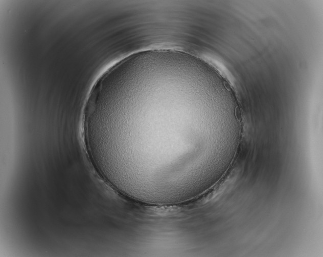 X0000094190952200711091158