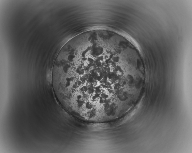 X0000094190953200711091158