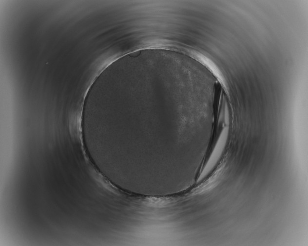 X0000094190954200711091158