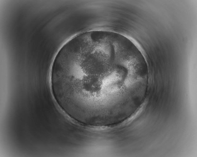 X0000094190957200711091159