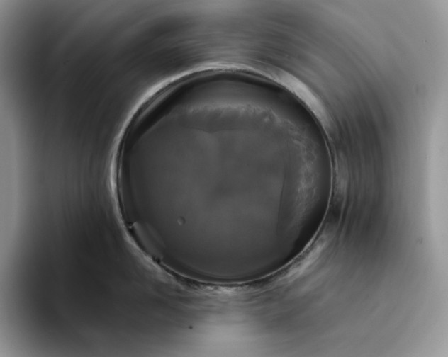 X0000094190958200711091159